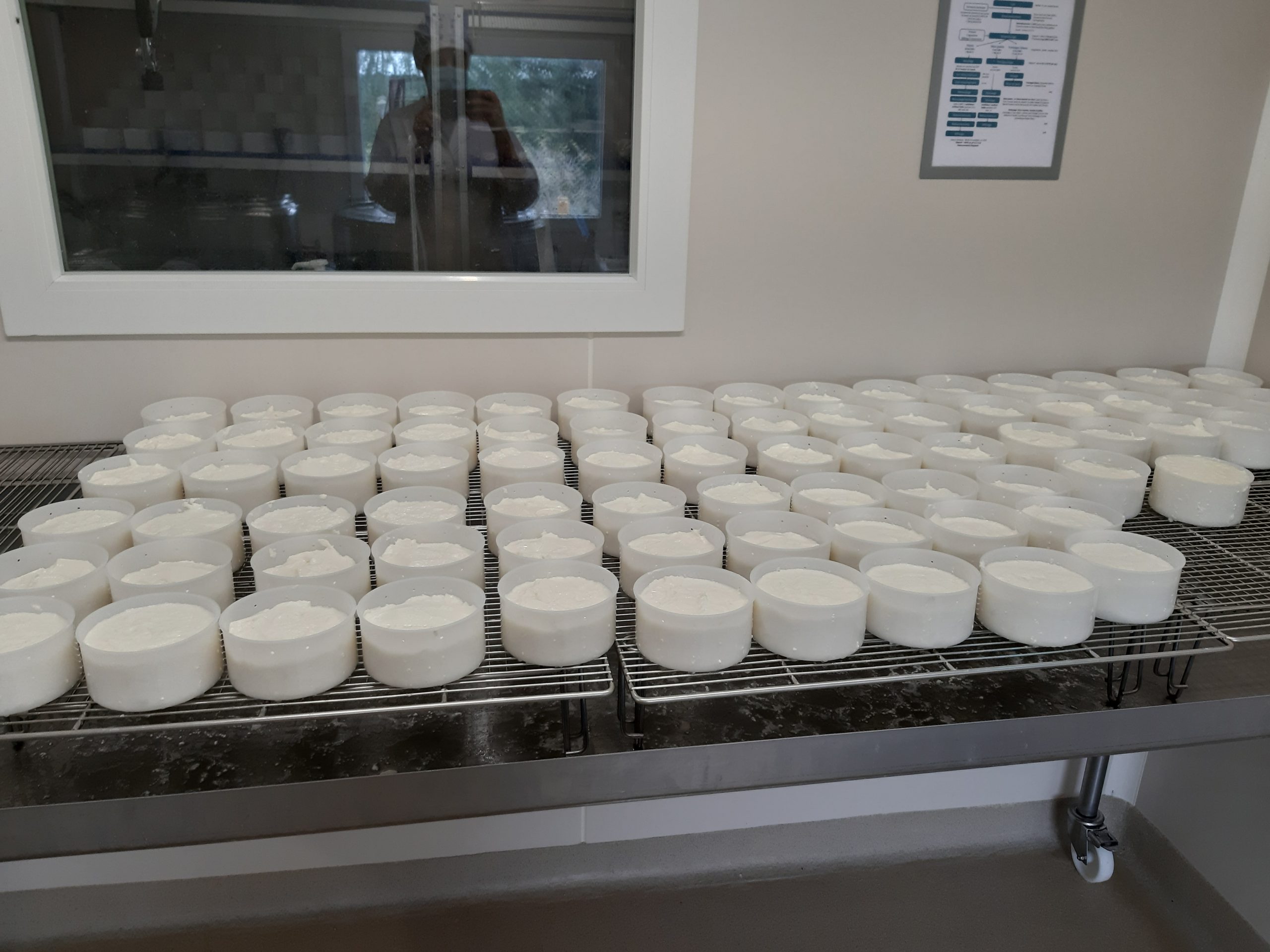 Moulage fromage 4