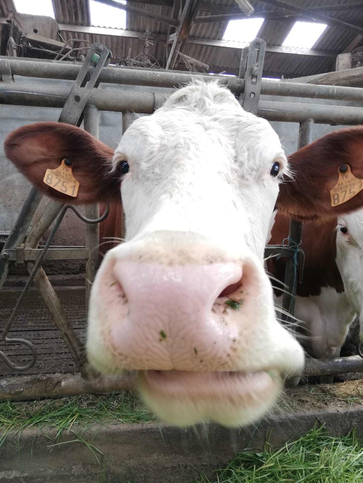 le sourire de Margueritte