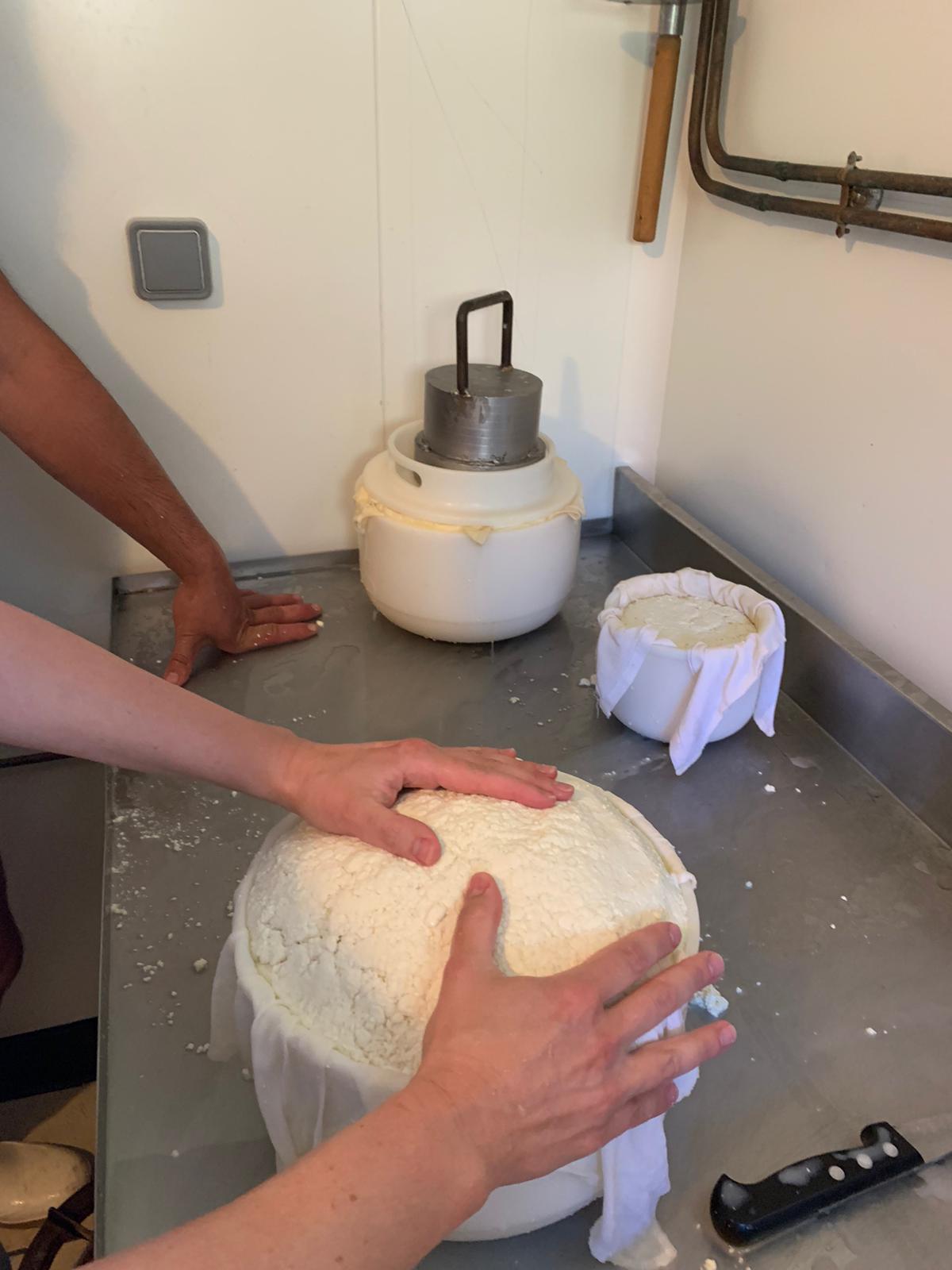 Moulage fromage 1
